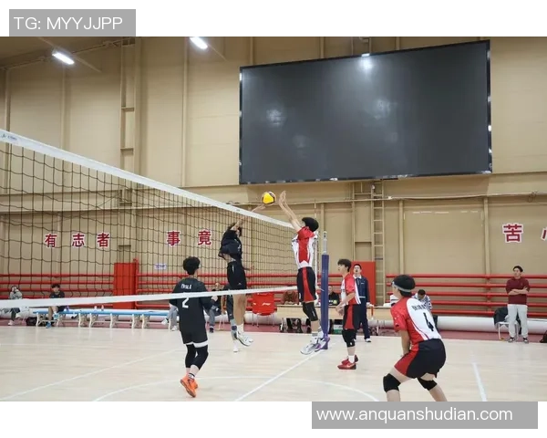广州排球队意识变革引发热议推动排球运动新发展