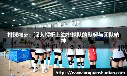 排球盛宴：深入解析上海排球队的默契与团队精神